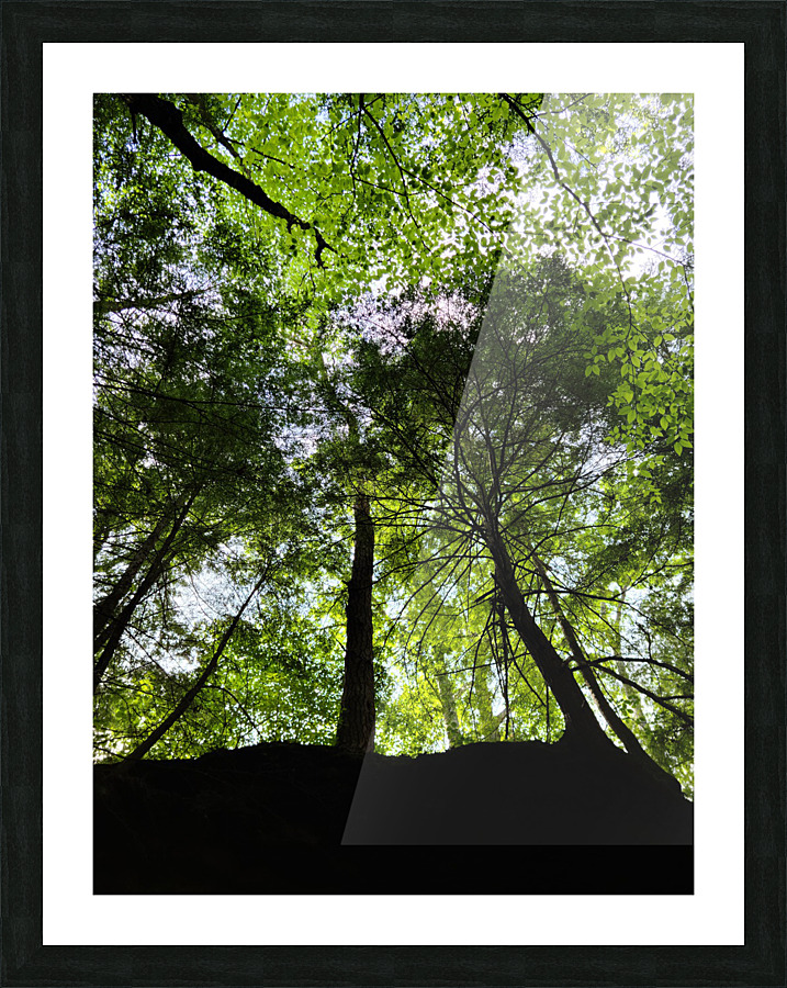Hocking Hills Picture Frame print