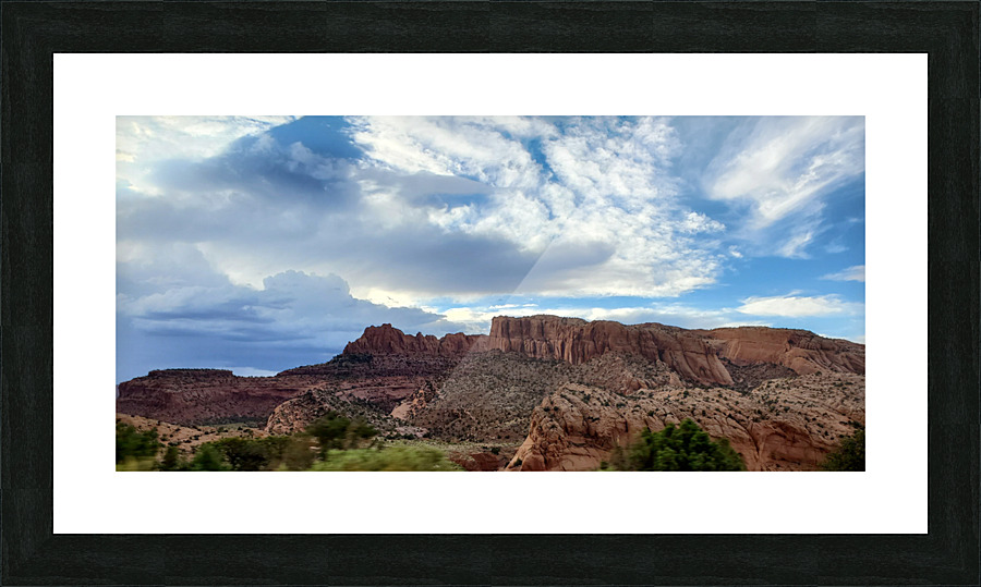 Arizona Picture Frame print