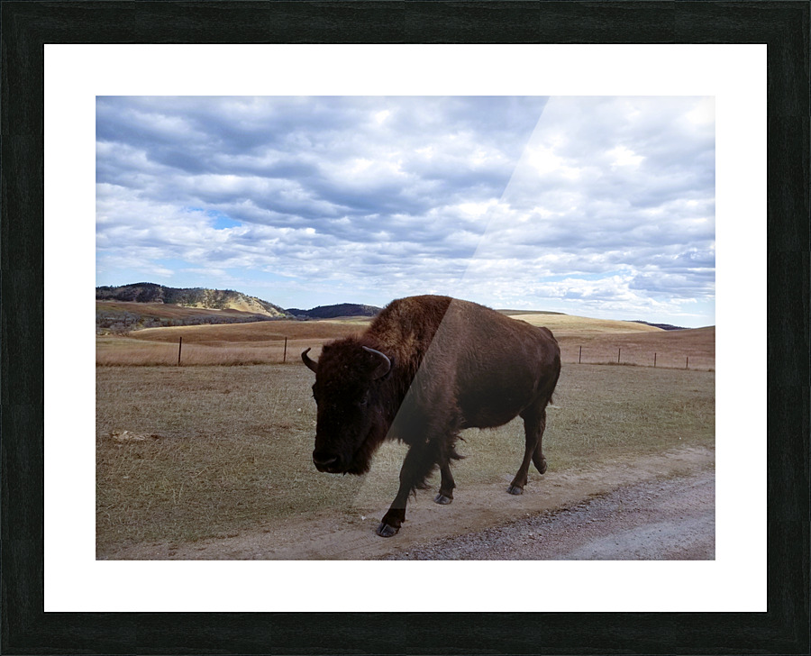 Black Hills Custer Picture Frame print