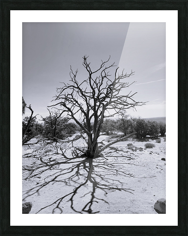 One  Picture Frame print