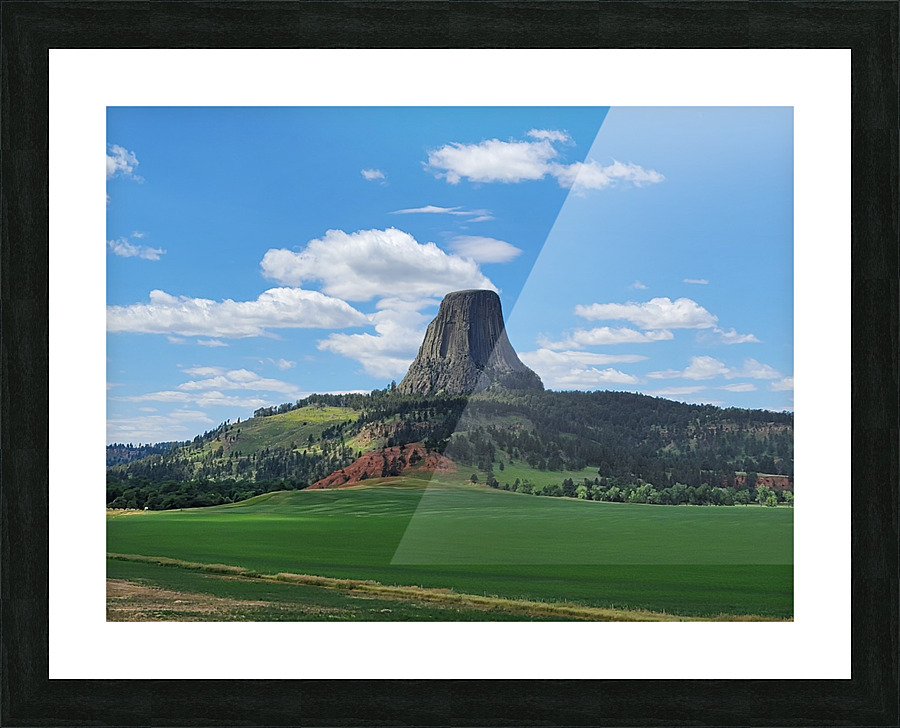 A Different View Picture Frame print