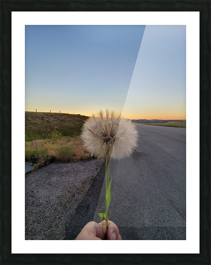 Make a Wish  Picture Frame print