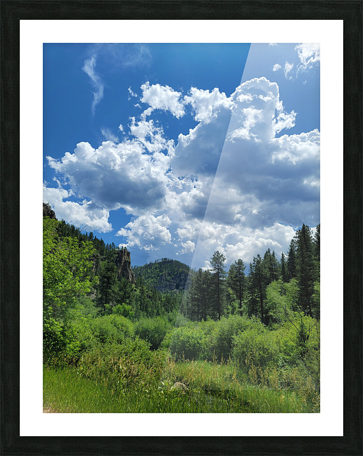 Black Hills SD Picture Frame print