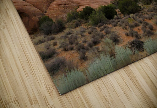 Arches14 Yolanda Handy puzzle