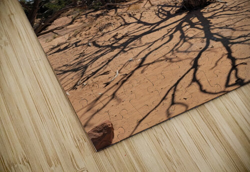 Canyonlands One Yolanda Handy puzzle