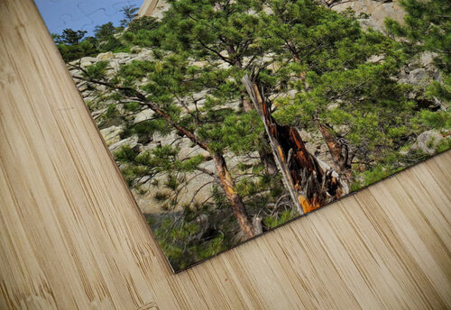 Devils Tower 3 Yolanda Handy puzzle