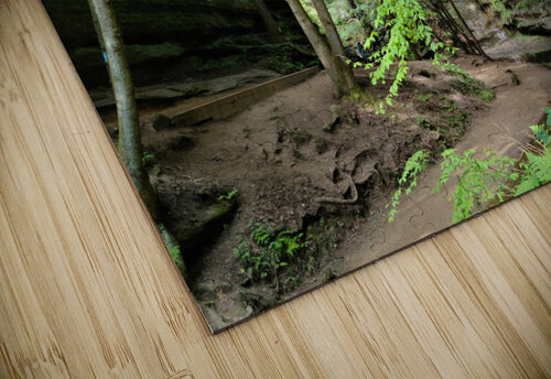 Hocking Hills 2 Yolanda Handy puzzle