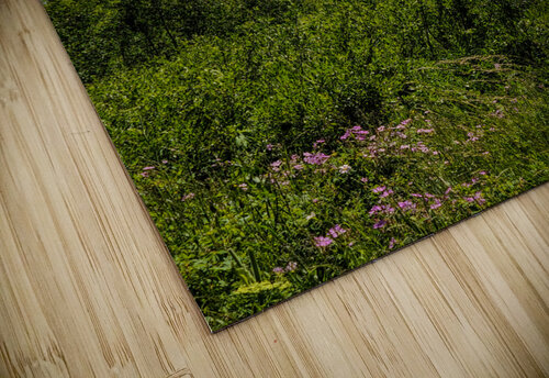 Tetons Yolanda Handy puzzle