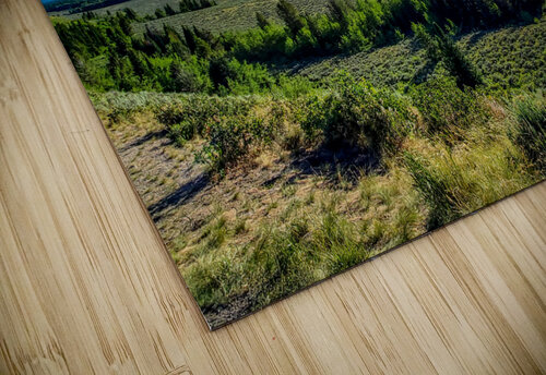 Road to Jackson Yolanda Handy puzzle
