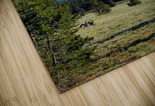 Tetons 3 Yolanda Handy puzzle