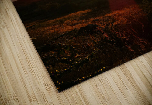 Battlefield Sunset Yolanda Handy puzzle
