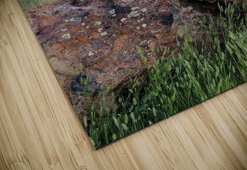 Lava Rock Yolanda Handy puzzle