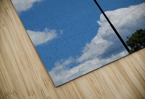 USA Yolanda Handy puzzle