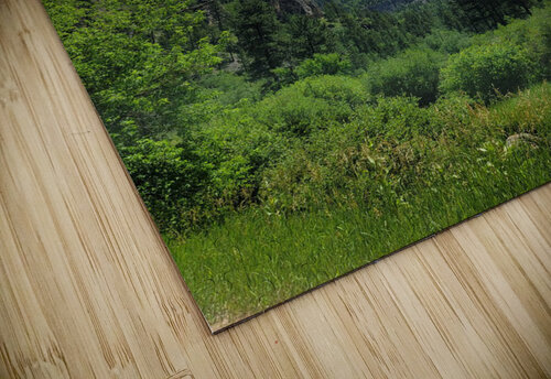 Black Hills SD Yolanda Handy puzzle