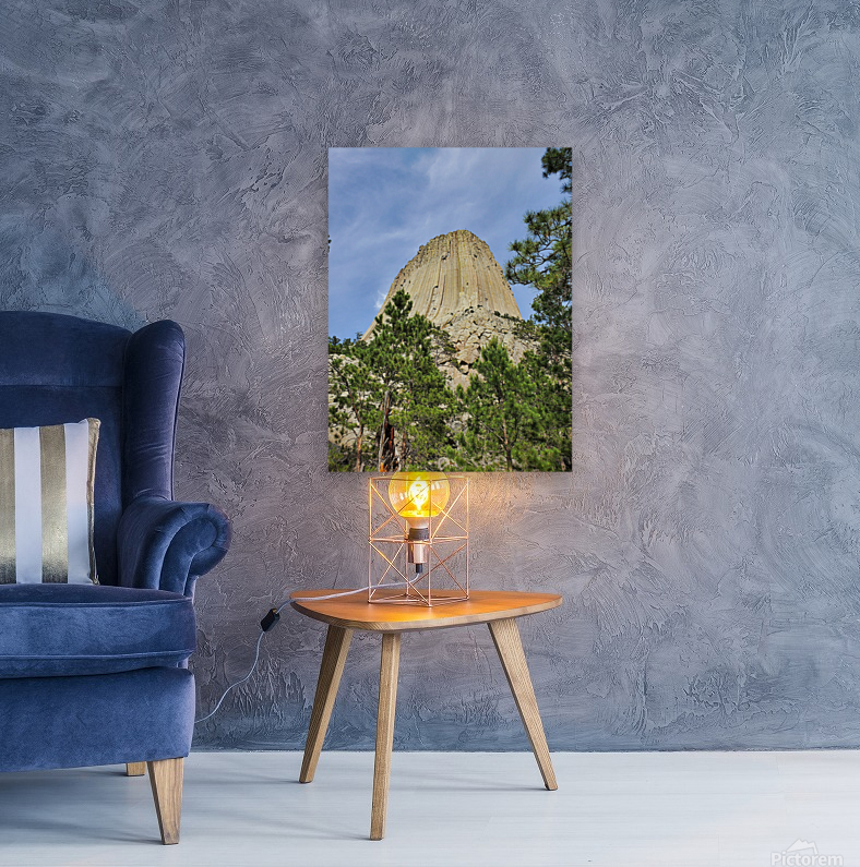 Devils Tower 3 Reproduction