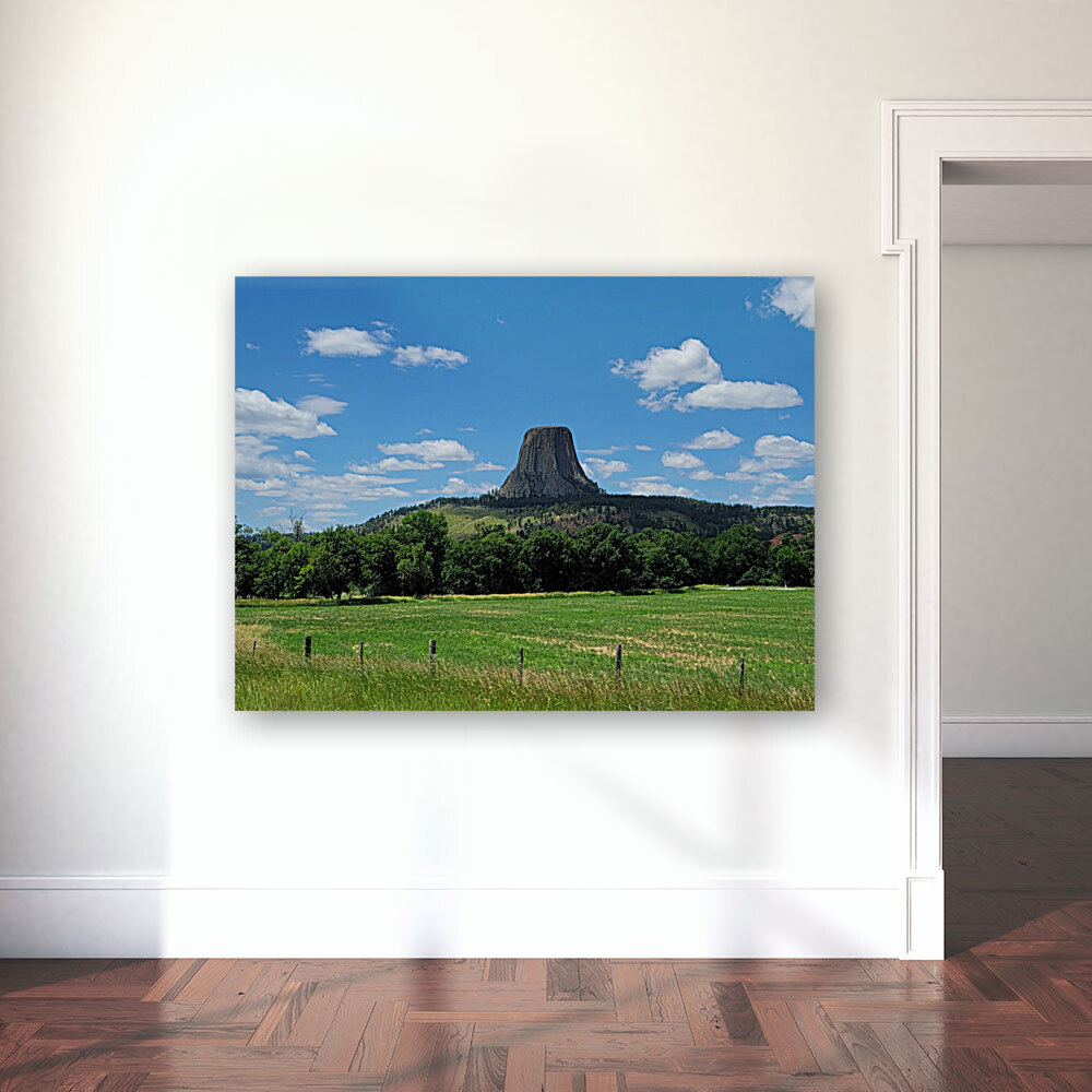Devils Tower Wyoming  Reproduction