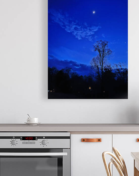 Backyard Night by Yolanda Handy