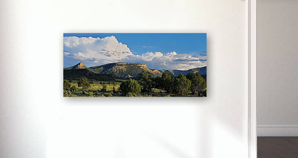Mesa Verde 1 by Yolanda Handy