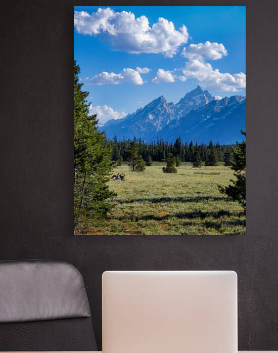 Tetons 3 by Yolanda Handy