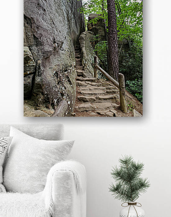 Natural Bridge Stairs by Yolanda Handy