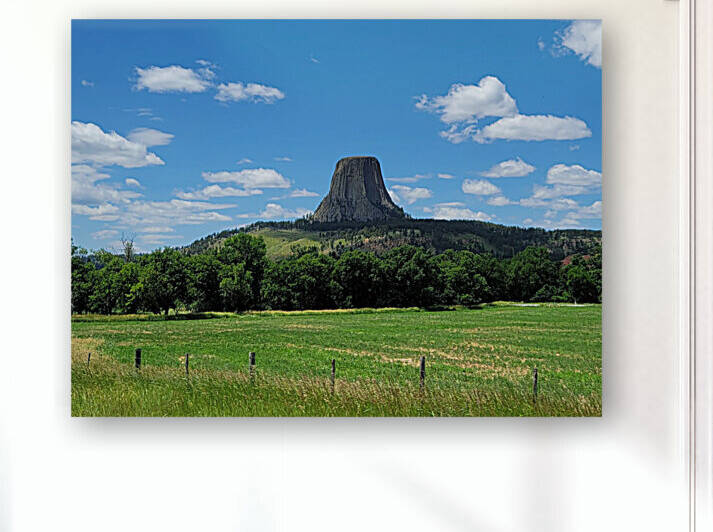 Devils Tower Wyoming  by Yolanda Handy