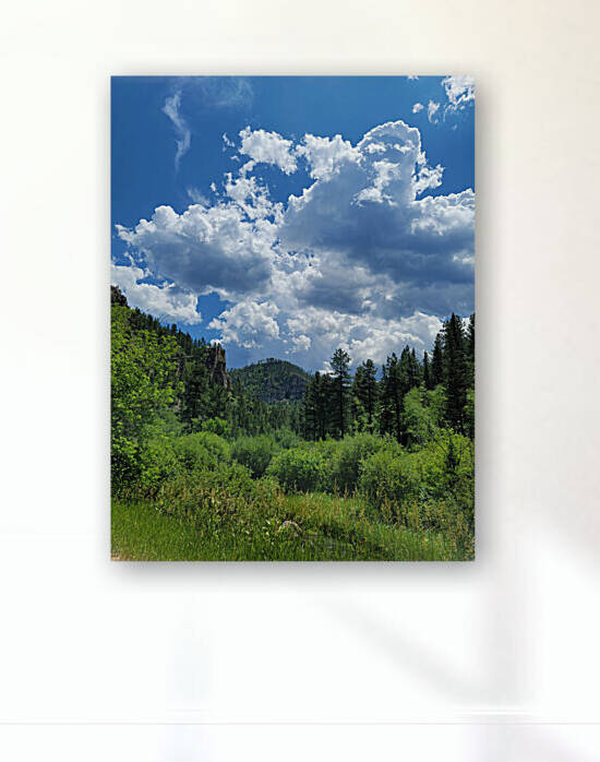Black Hills SD by Yolanda Handy