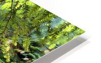 Hocking Hills 7 HD Metal print