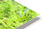 Hocking Hills 6b HD Metal print