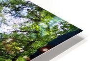 Hocking Hills 4 HD Metal print