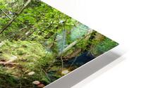 Hocking Hills 2 HD Metal print