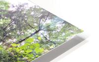 Hocking Hills 8 HD Metal print