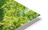 Glade Creek HD Metal print