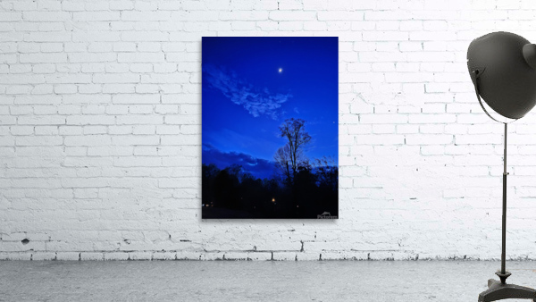 Backyard Night Wall Preview