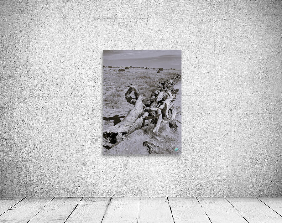 Driftwood Wall Preview