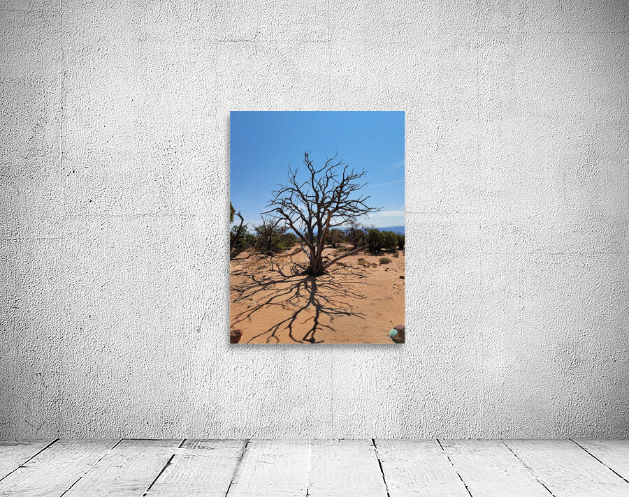 Canyonlands One Wall Preview