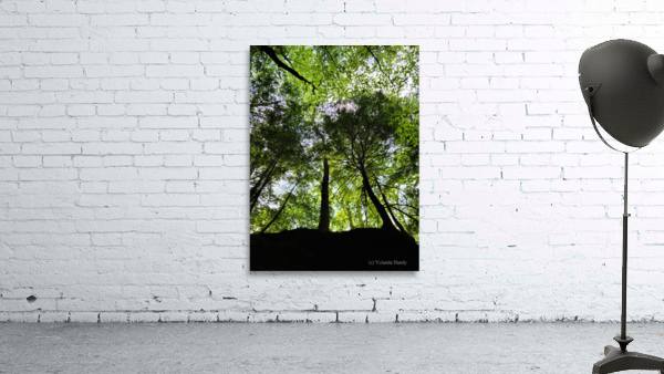 Hocking Hills Wall Preview