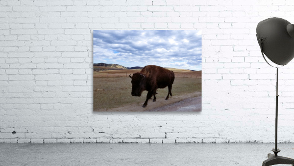 Black Hills Custer Wall Preview