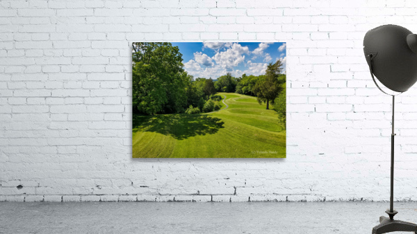 Surpent Mound Wall Preview
