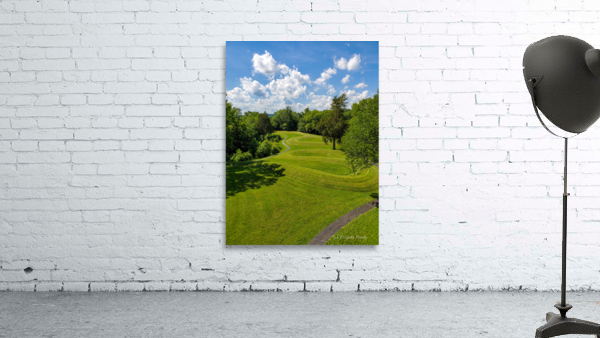 Surpent Mound 2 Wall Preview