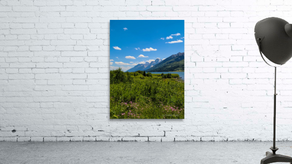 Tetons Wall Preview