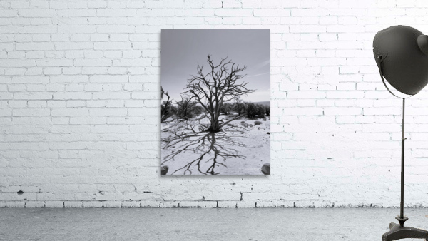 One  Wall Preview