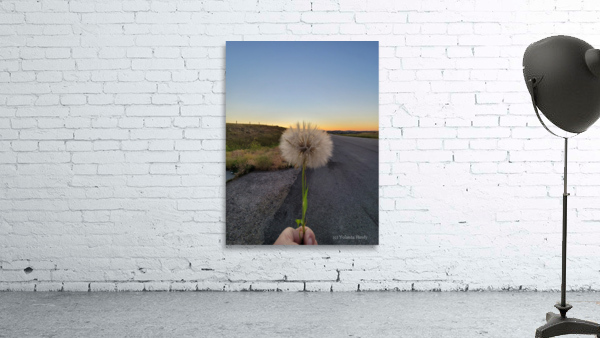 Make a Wish  Wall Preview