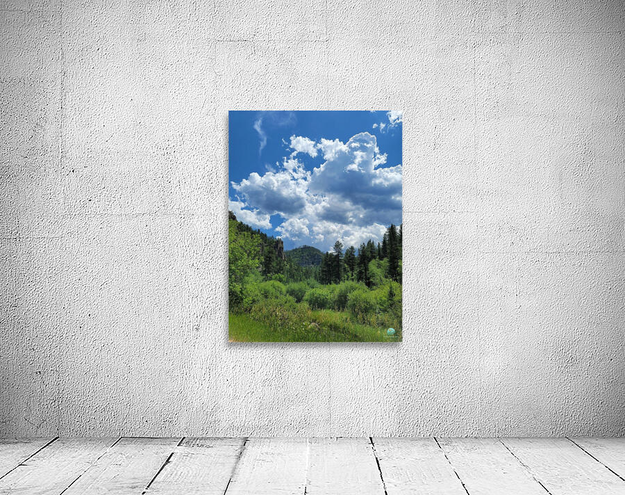 Black Hills SD Wall Preview
