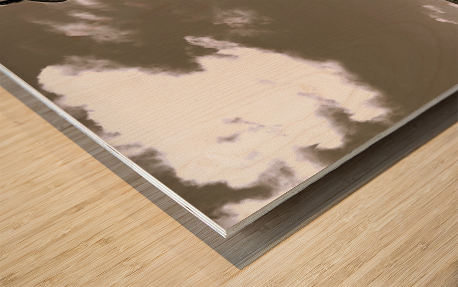 The Marshals Wood print