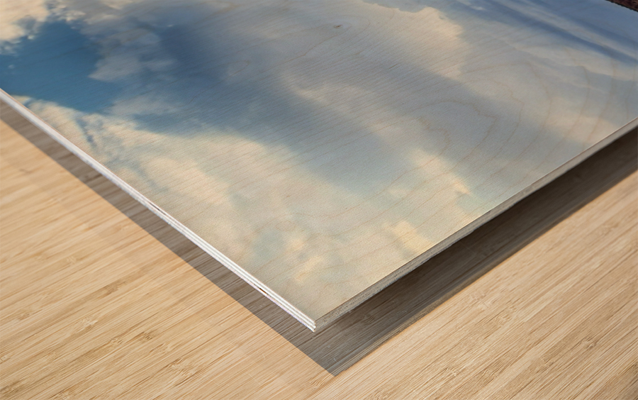 Arizona Wood print