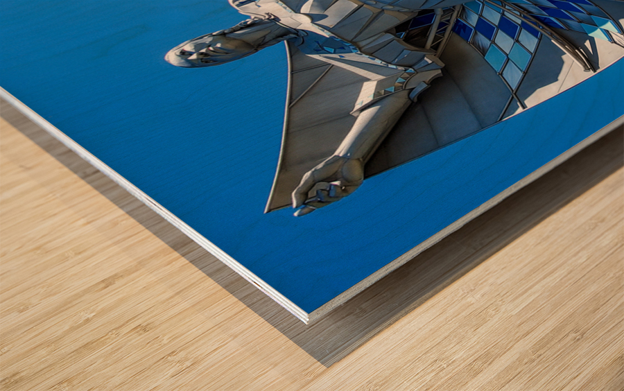 Dignity Wood print