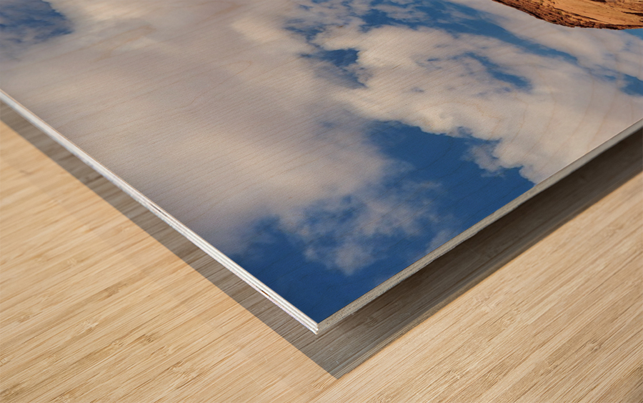Monument Valley Flag Wood print
