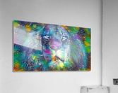 Splatter Lion Acrylic Print