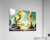 Trees of Light in the Land of Dreams Acrylic Print