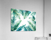 Tropical Breeze Acrylic Print